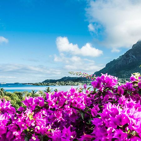 Villa Rea Hanaa Bora Bora Extérieur photo